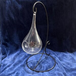 Clear Glass Teardrop Hanging Terrarium